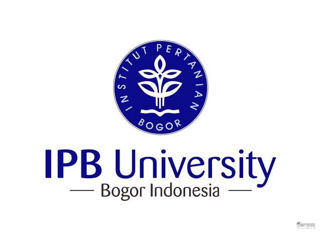 CEK PINNED! tweet media