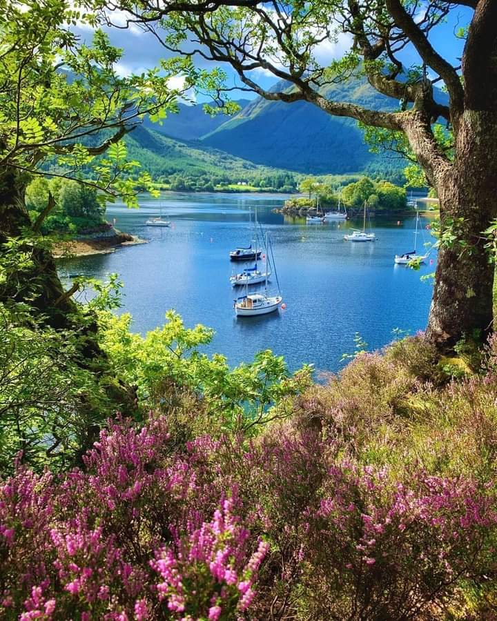 I would not mind spending all day here. 😍😍

📍Bishop’s Bay, North Ballachulish
📸Awesome Shot By: Insta

#scotland #scottishlochs #scotlandexplore