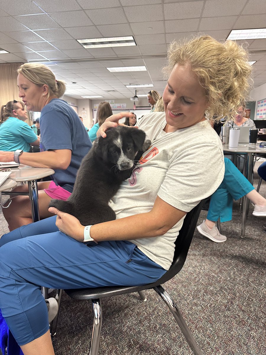 TomballISD's tweet photo. @TISDMOVES And puppy therapy … @TISDMOVES ❤️🐶 https://t.co/USVtQXjeWh