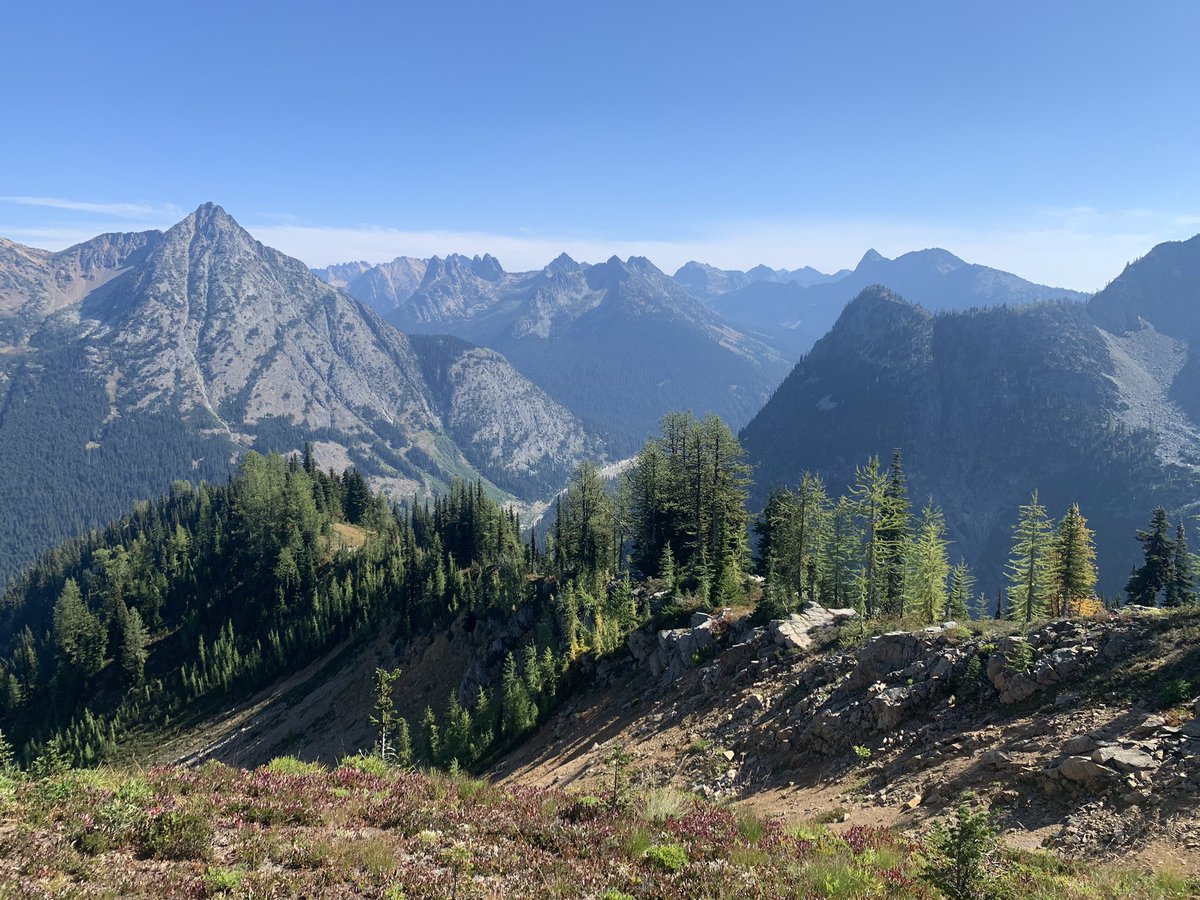 NIChardon's tweet image. Curious how microhabitat might influence species range shifts? Find out at my talk today at #ESA2023 at 3:30pm in E143!