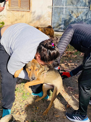 ANDALGALAMEGA's tweet photo. Radio Mega 91.5 MHz, Andalgalá, Catamarca, Argentina: Comenzó la campaña  antirrábica y desparasitaria e... https://t.co/Z8e9iNqvV6 https://t.co/U1A30rSWg6