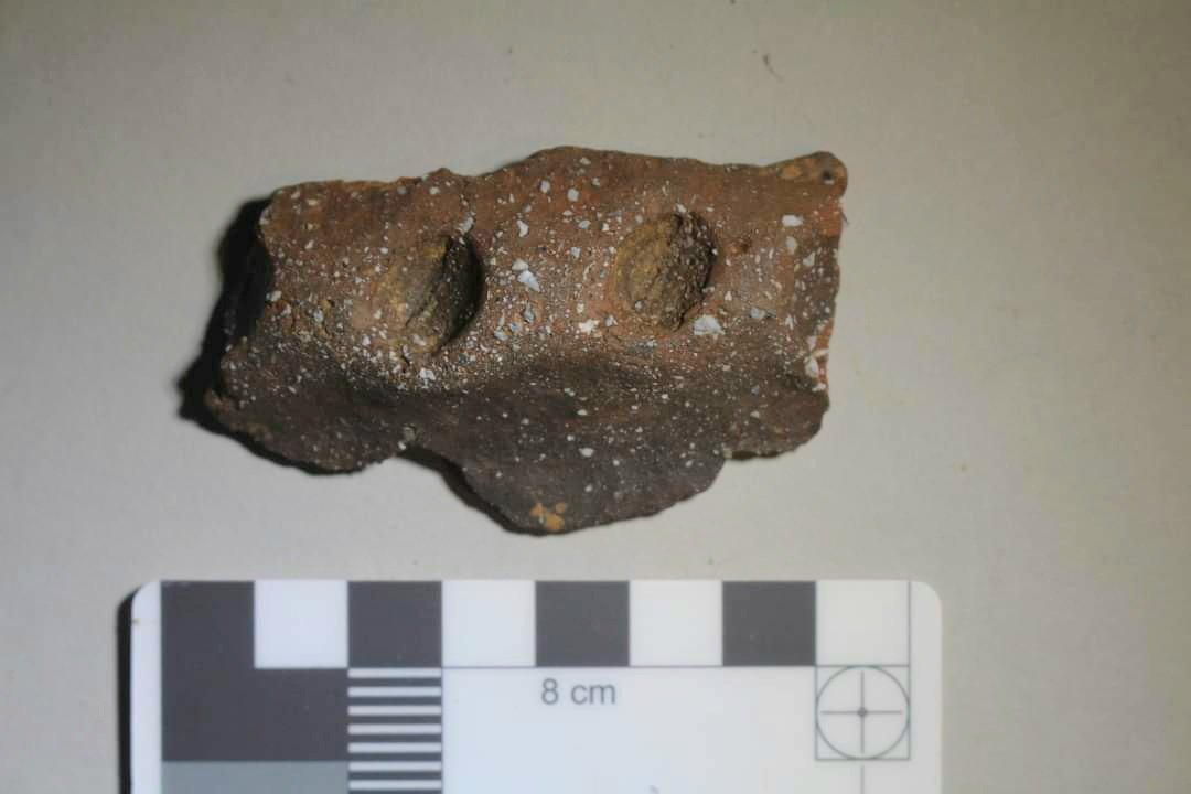 BtnHoveAS's tweet image. Photos from Day 2 of the #BigDig. It was damp &amp;amp; windy, but our hardy diggers persevered.  Some particularly interesting finds including this possible Bronze Age collared urn fragment and an inscribed, folded sheet of lead. 

#archaeology #Sussex #sussexarchaeology #stanmer