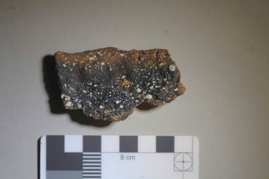 BtnHoveAS's tweet image. Photos from Day 2 of the #BigDig. It was damp &amp;amp; windy, but our hardy diggers persevered.  Some particularly interesting finds including this possible Bronze Age collared urn fragment and an inscribed, folded sheet of lead. 

#archaeology #Sussex #sussexarchaeology #stanmer