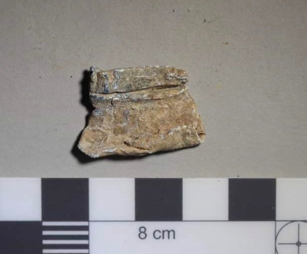 BtnHoveAS's tweet image. Photos from Day 2 of the #BigDig. It was damp &amp;amp; windy, but our hardy diggers persevered.  Some particularly interesting finds including this possible Bronze Age collared urn fragment and an inscribed, folded sheet of lead. 

#archaeology #Sussex #sussexarchaeology #stanmer