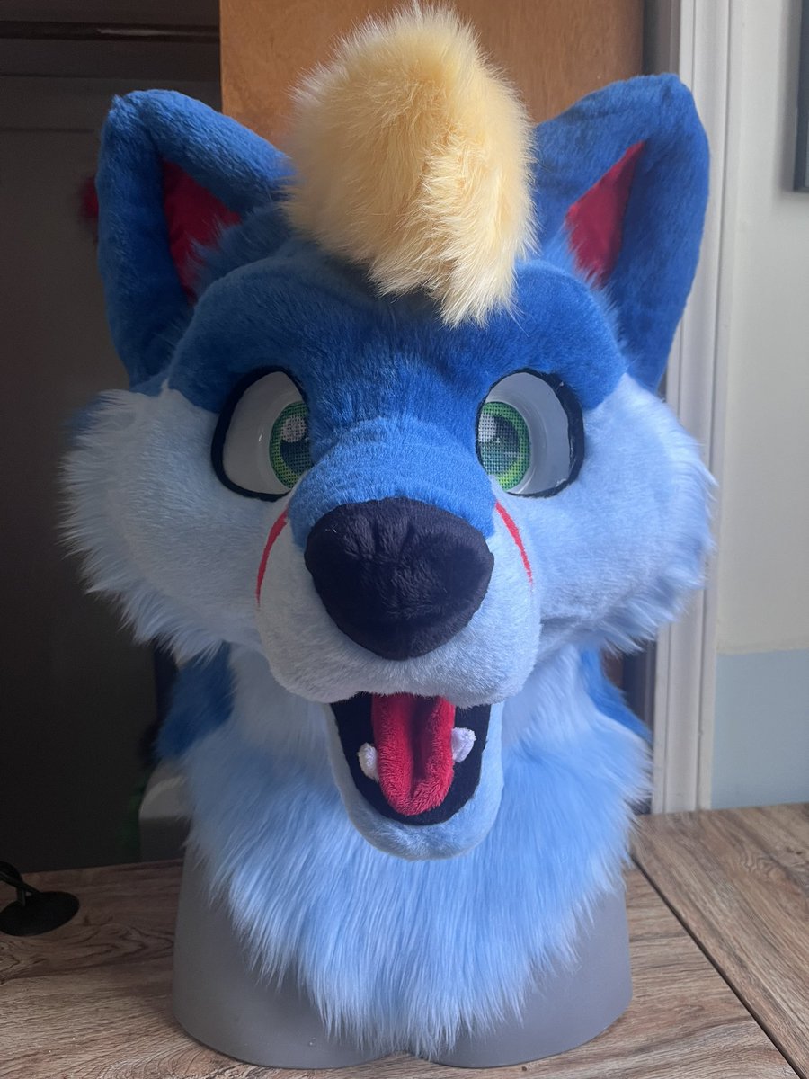 Fade the Folf is all finished and ready to go home! Absolutely love the blue critters I’ve gotten to make lately 💙🩵

Next will be a snep and a lynx!