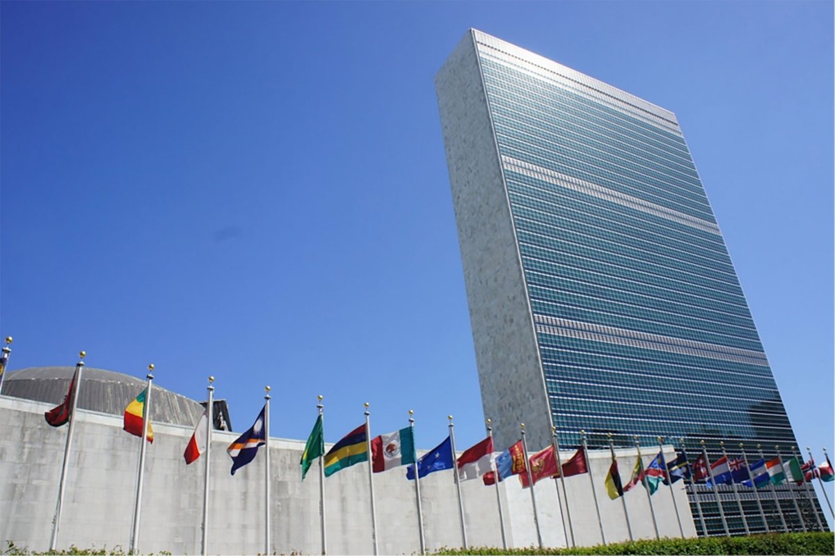 StopTB's tweet photo. 📢Breaking News - UN Political Declaration on TB Placed Under Silence Procedure https://t.co/tYhBcChYBD https://t.co/IvIib9vRhk