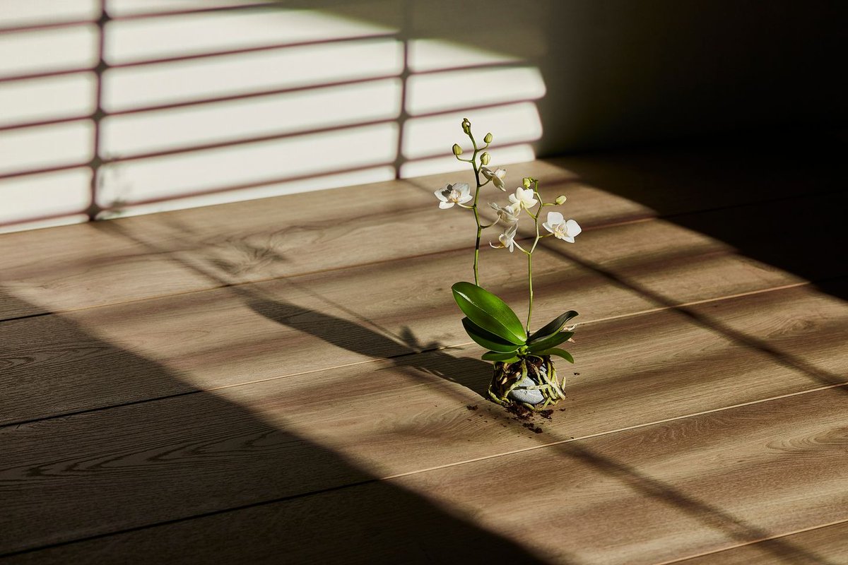 EMEDEC_com's tweet photo. La tecnología más avanzada y el máximo respeto por la naturaleza convergen en la increíble colección ROBLE VERA de FINfloor, premiada en los prestigiosos Red Dot Design Awards.
#Finfloor #Durable #RobleVera #Funcionalidad #Calidad https://t.co/FWhW5WuGUQ