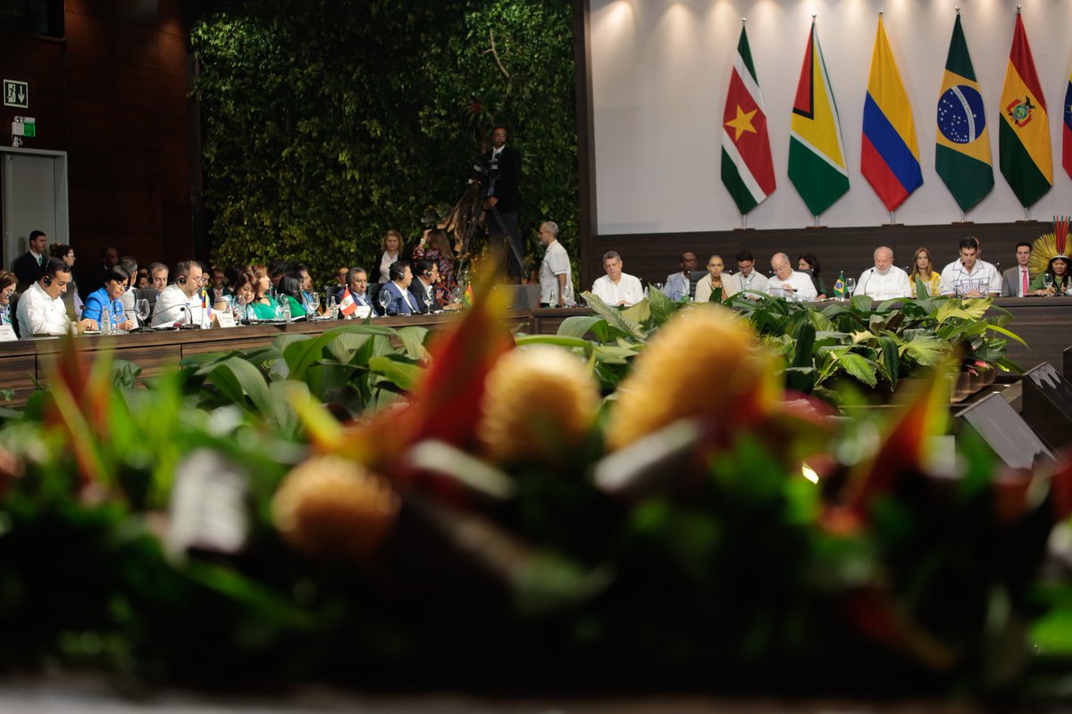 Modestamente Venezuela presentó 9 líneas de acción estratégicas, que esperamos puedan ser asumidas en conjunto por los Gobiernos y los Estados agrupados en la IV Cumbre de la Amazonía celebrada en Brasil. Estamos obligados a defender y preservar el Amazonas, juntos por la vida