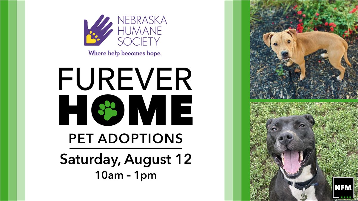 we'll be at Nebraska Furniture Mart this weekend with some adoptable dogs! hey <a href="/nfmtweets/">NFM</a> do you guys have any couches that are dog-proof