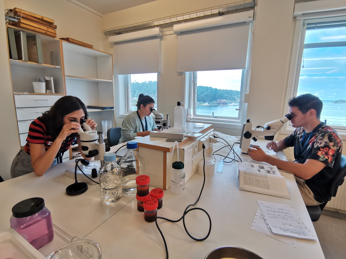 #Researchinprogress Have you ever wondered if human disturbance affects the diversity and distribution of #meiofauna in the sediment? We team 6 'Meiofam' (Chloé-Rose, Dilara, Gabriele and Ingrid) are on a mission to find find it out. Stay tuned for the results!