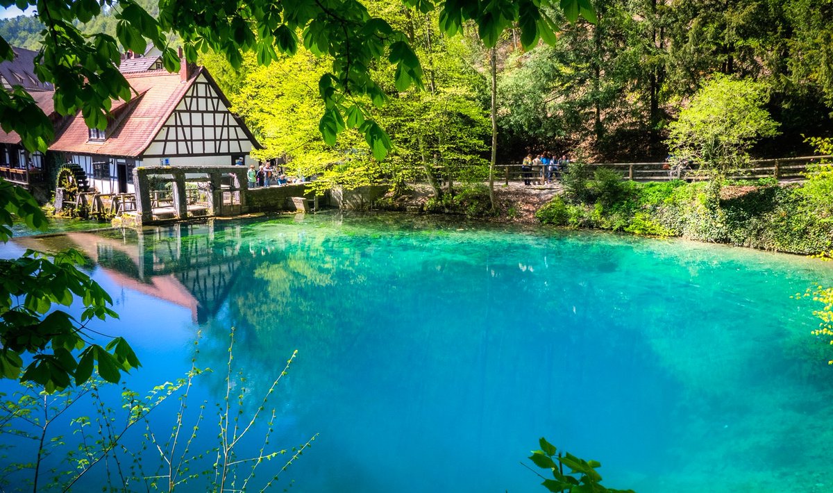 💙 Wenn BLAU eure Lieblingsfarbe ist, MÜSST ihr euch diesen See anschauen 💙
👉 l.urlaubspiraten.de/ufULV