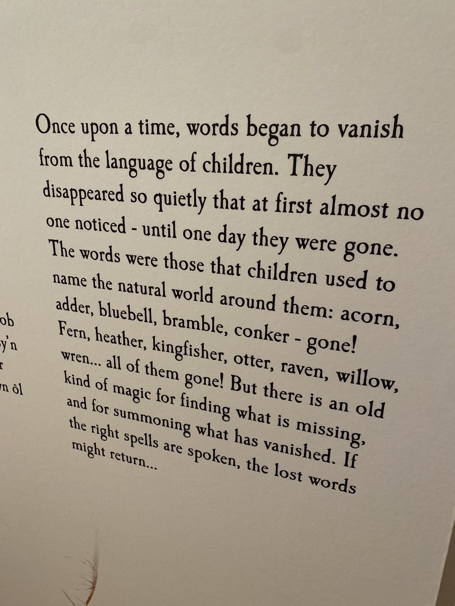 michael pain tweet media