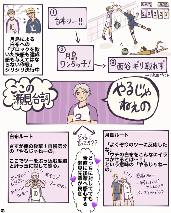 『教えてセミ先輩』  正解が出なくても構わない質問コーナー(を勝手に設置) 答えを想像しながら永遠に脳内で転がして遊べます😊