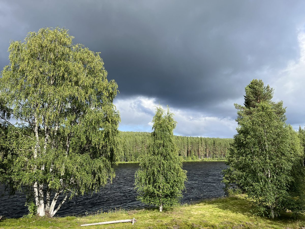 Bij ons in #Trysil #Noorwegen alles prima, alleen een hoge rivier en hoge beek. Bij mijn tante in #Hallingdal gaat het minder. Wegen onbegaanbaar. Ze mag kiezen of ze wordt geëvacueerd.