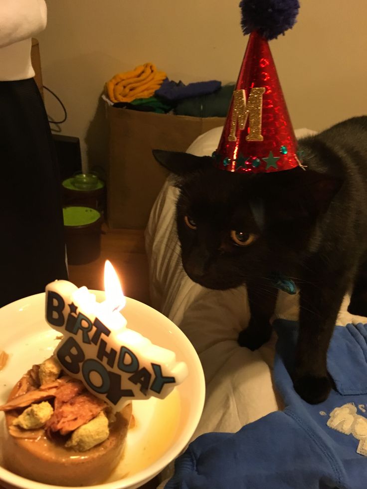 gfyuvin's tweet photo. A__A    ✨🎂✨    A__A
( •⩊•)   _______   (•⩊• ) 
(>🍰>)   |           |   (<🔪<)   

HAPPY BIRTHDAY!! https://t.co/NoyR61IeM2