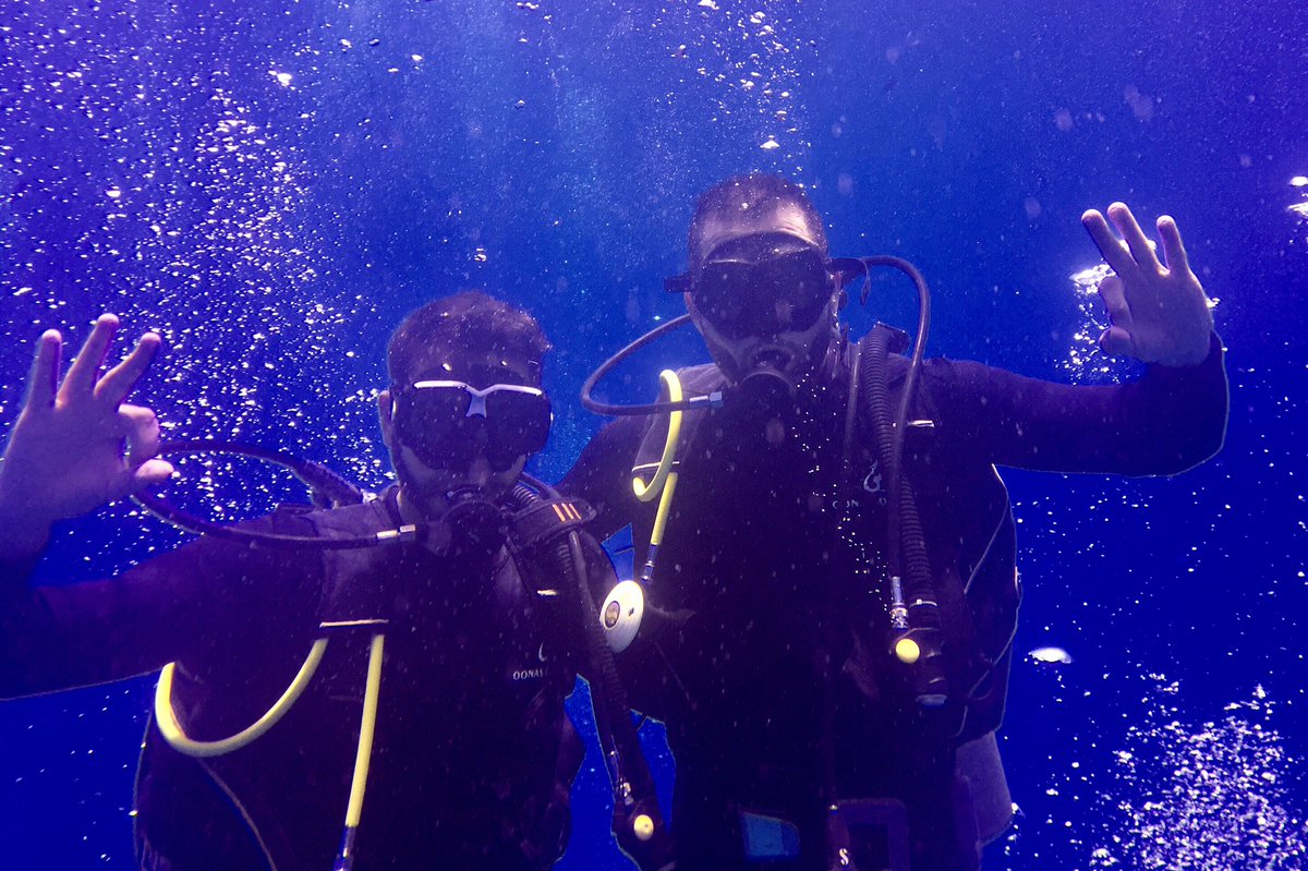 ShmuelShalom's tweet photo. The world down under.
🤿🐠🐟
#Egypt #Sharem #المصر #سيناء #سارم_الشيخ https://t.co/FkReVj1jMF