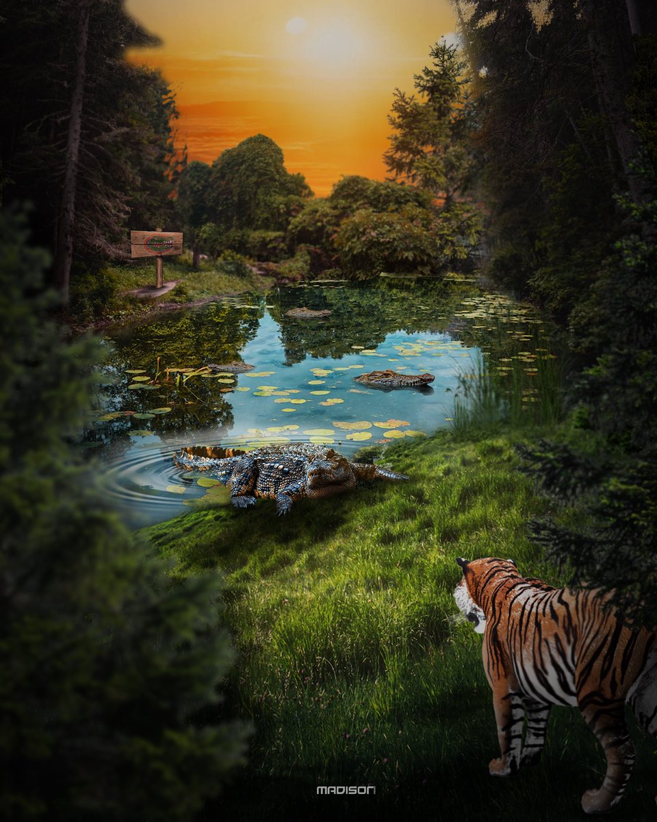 Madison Roberts tweet media