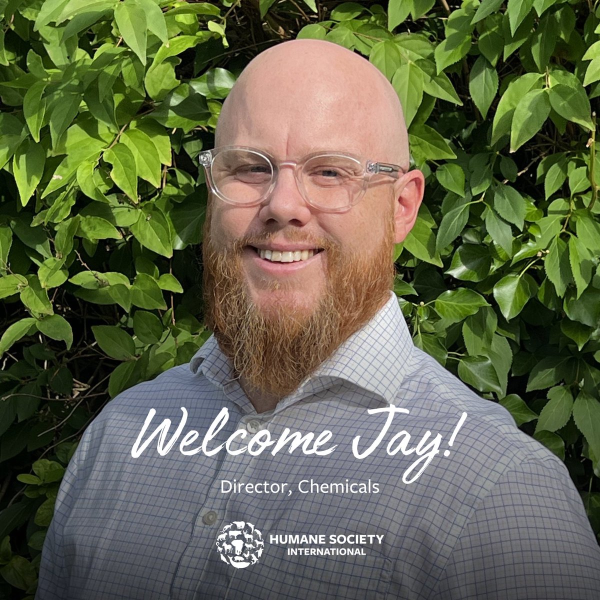 humaneworldeat's tweet photo. π’ We're excited to announce that Jay Ingram has joined our team as Director, Chemicals! Jay will be leading our efforts in the chemicals sector to accelerate the phase-in of animal-free methods into regulatory frameworks worldwide. Welcome Jay! πβοΈ #ScienceSithoutSuffering https://t.co/VsM3HlzeHn