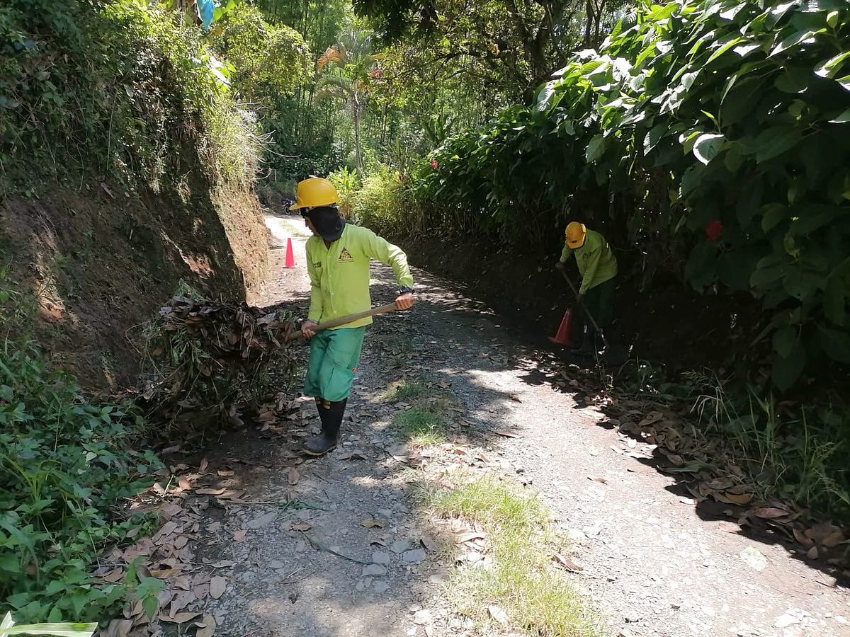 ¡Continuamos con el mantenimiento de la malla vial en la zona rural del municipio! 👩‍🌾
En convenio con el @CNCcaldas 🍒 y gracias a las manos trabajadoras de nuestros peones camineros, las vías permanecen impecables y despejadas con el propósito de evitar accidentes. 💚