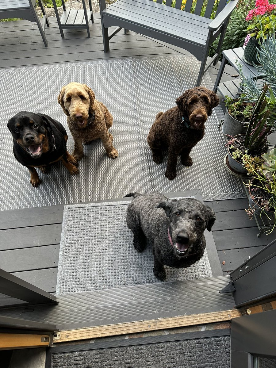 Murray Decock tweet media