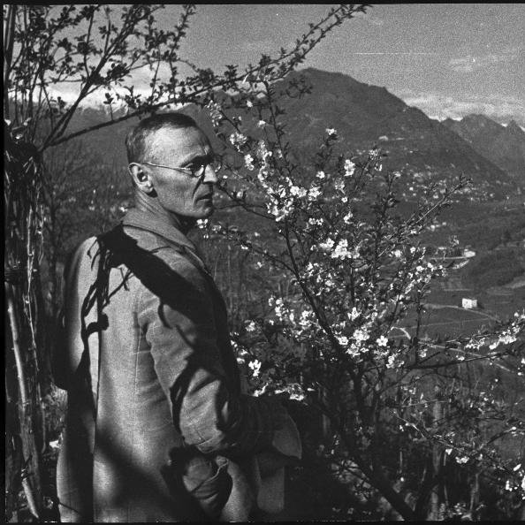 InlibroV's tweet photo. "Man's life seems to me like a long, weary night that would be intolerable if there were not occasionally flashes of light, the sudden brightness of which is so  comforting and wonderful that the moments of their appearance cancel out and justify the years of darkness."

H. Hesse https://t.co/hln9LH9jOf