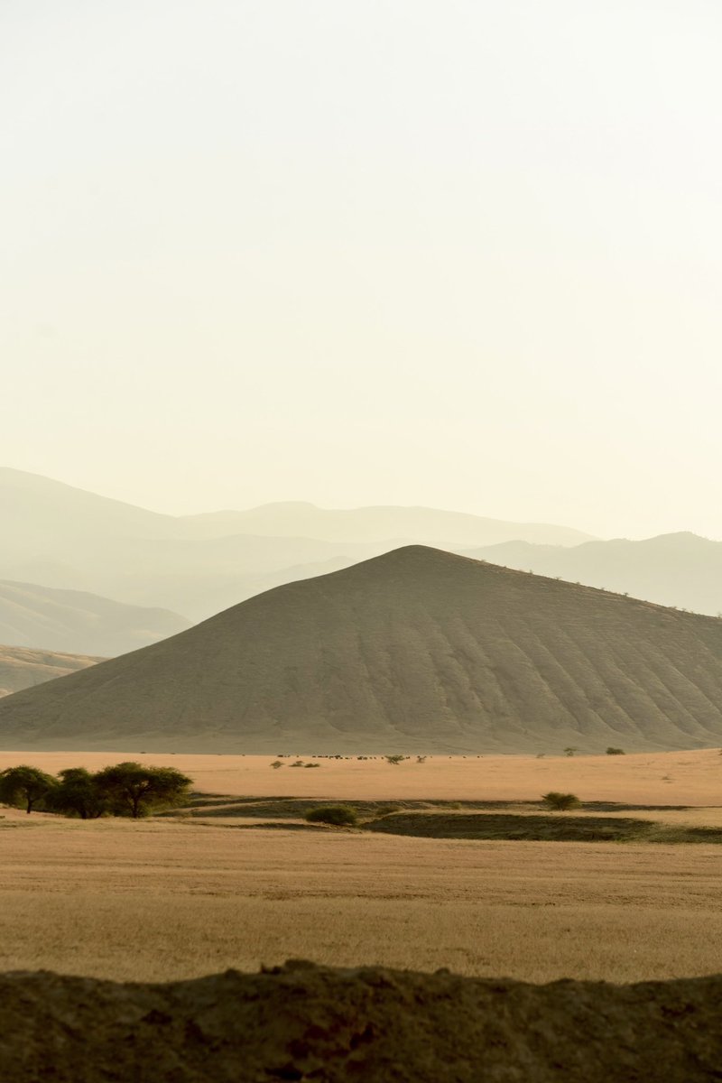 Tanzania generated $2.56 billion from 1.454 million tourists in 2022.

Tanzania aims to hit $6 billion in yearly tourism revenue by 2025.

How much does your country make tourist? 

Go watch my Travel documentary about this beautiful country. 

Source: African facts
