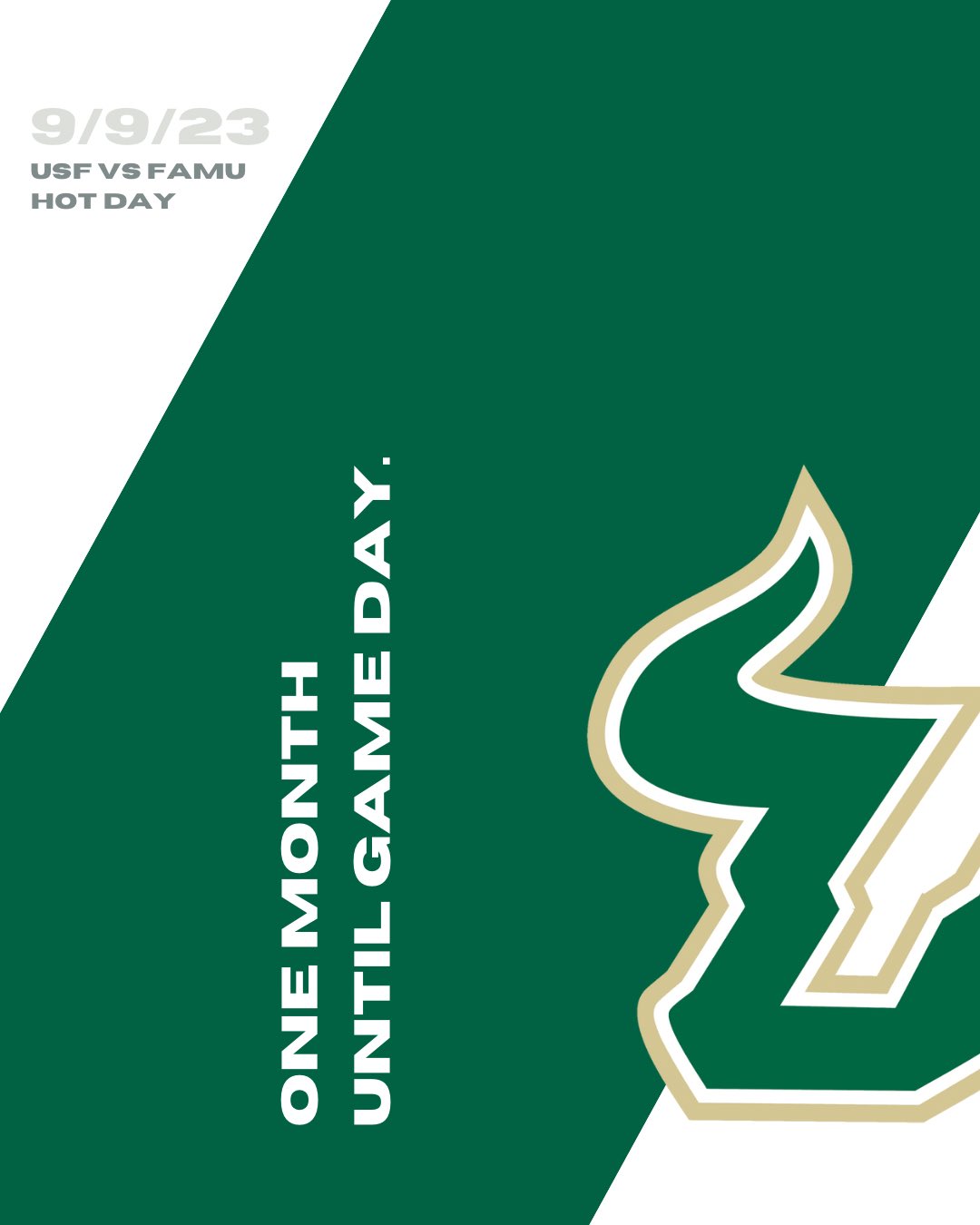 USF Football on X: 🔋 #HornsUp🤘  / X