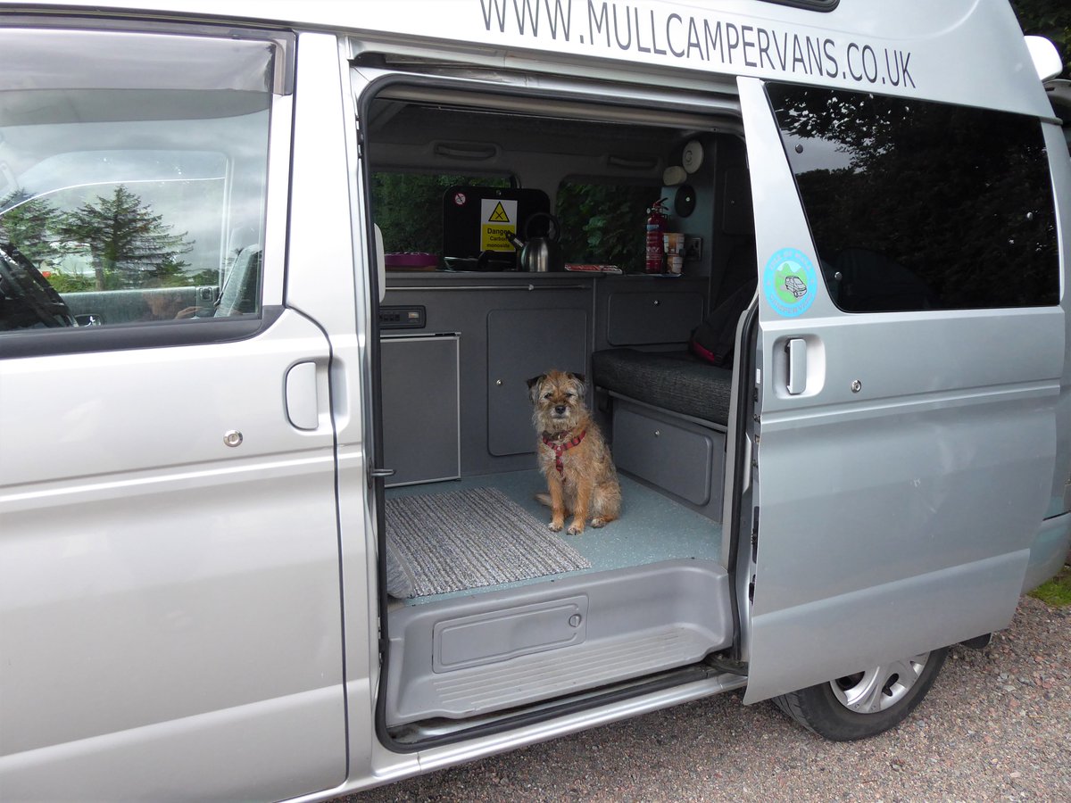 Katy Chaos 🌈 tweet media