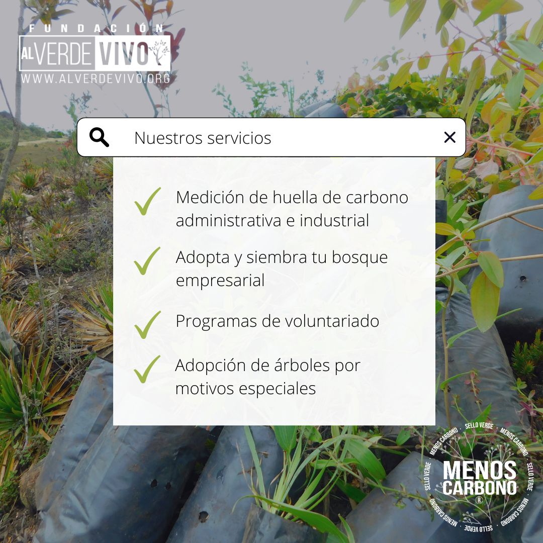 En cada hoja, en cada suspiro de la naturaleza, encontramos nuestra inspiración. 💚🌍 La Fundación Al Verde Vivo se enorgullece de brindar servicios que cuidan de nuestro planeta.

#AlVerdeVivo #CuidemosLaNaturaleza #UnidosPorElFuturo