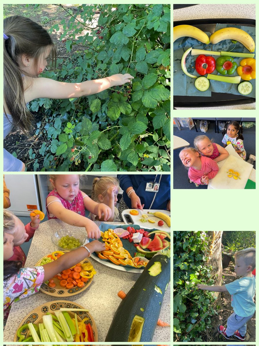 CoedGlas Food & Fun (@coedglass) on Twitter photo Wonderful morning for our youngest group.
Picking their own blackberries and making the best food art ever seen! 😍
Thank you Mrs Assinder for delivering the Nutrition session!
<a href="/FoodandFunCdiff/">Cardiff Food and Fun</a> <a href="/CdfHealthySch/">Cardiff Health Promoting Schools</a> <a href="/CoedGlas/">Coed Glas Primary</a> Wonderful morning for our youngest group.
Picking their own blackberries and making the best food art ever seen! 😍
Thank you Mrs Assinder for delivering the Nutrition session!
<a href="/FoodandFunCdiff/">Cardiff Food and Fun</a> <a href="/CdfHealthySch/">Cardiff Health Promoting Schools</a> <a href="/CoedGlas/">Coed Glas Primary</a>