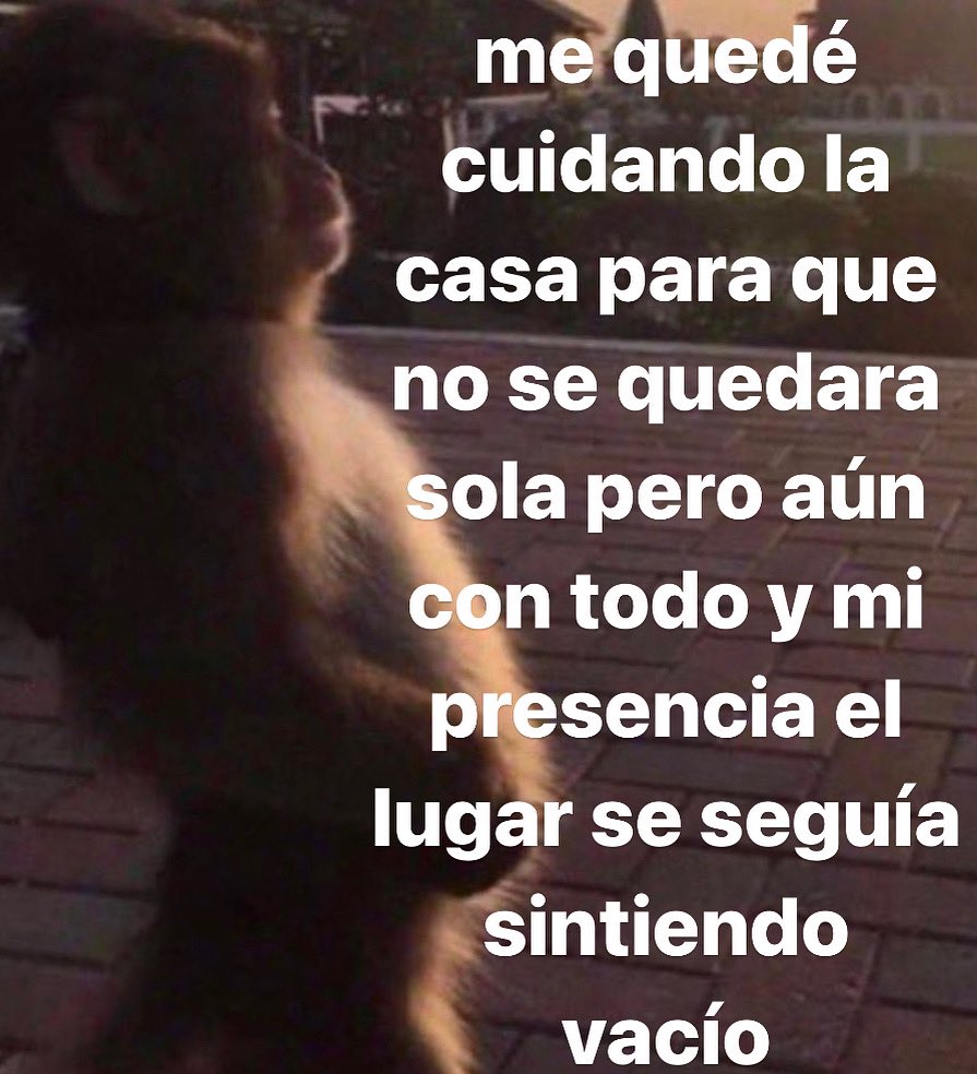 conoloracigarro's tweet photo. Buenos días, no se queden a llenar espacios vacíos. https://t.co/Xj8EHWP7s2
