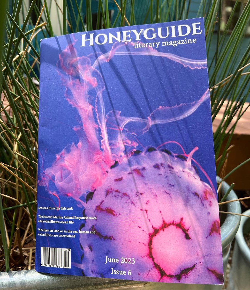 Amber Watson ✍️ tweet media