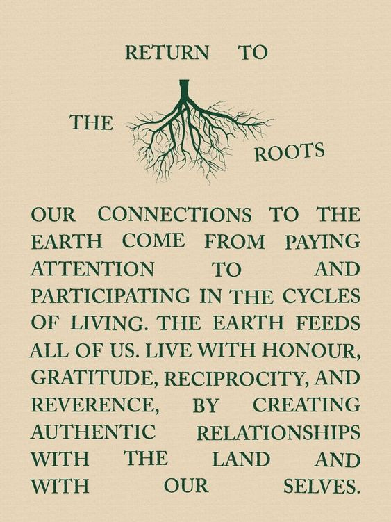 #roots #deeproots #gaiaconnection #earthcycles #ascension #earthhealing #5dconsciousness #gaia #lightworker #honour #pachamama #shamanism #tierra #wearenature #5d #reciprocity #connectwithnature #ecotherapy #gratitude #earthwisdom #natureconnection #reverence #backtoourroots