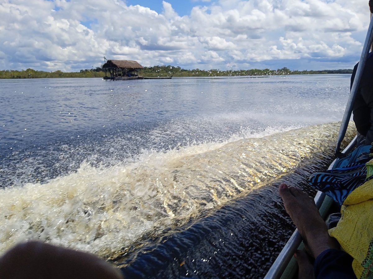 joseamejiasg's tweet photo. #Amazonas mientras se realiza la cumbre Amazonica en Brasil y está el operativo autana en Curso,está es la imagen que se repite a lo largo y ancho del Río Atabapo en la Amazonia Venezolana con la proliferacion de Balsas mineras.@SOSOrinoco @VE_SinEcocidio @FundaREDES_ https://t.co/XRPsAYINCg
