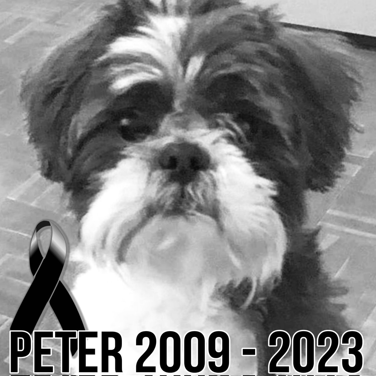 PERKINS ☯ El De Las Reacciones ☮️ #ImStillBleach tweet media