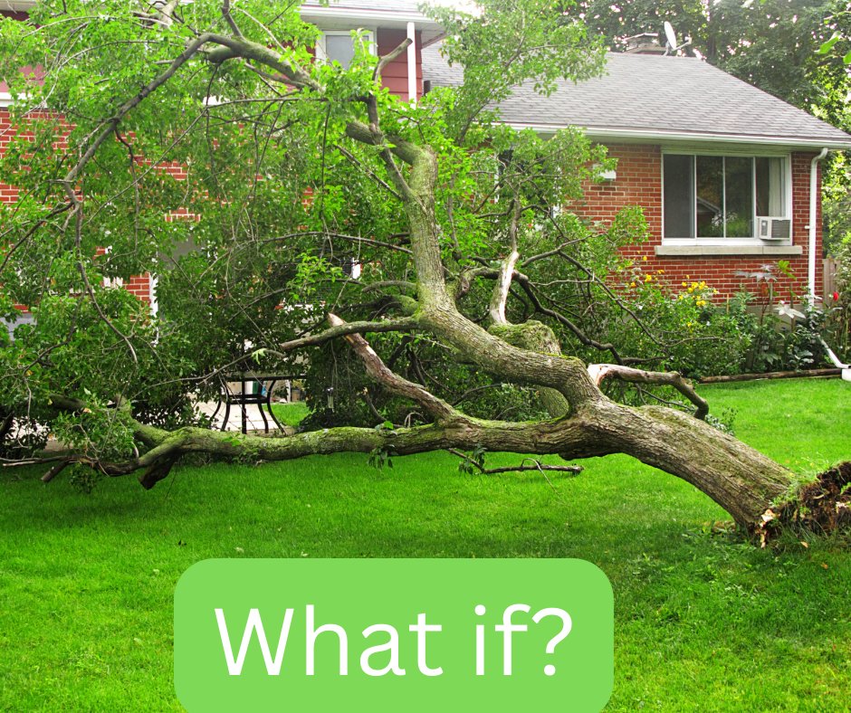 heffelfingerOH's tweet image. Who is responsible when a tree falls on your house? If it's your tree, your insurance typically covers the damage. If it's your neighbor's tree, their insurance may cover it. #HomeInsuranceTips #StormDamage Jeromesville (419) 368-3151|Lodi (330) 948-1250 heffelfingerinsurance.com/home-2/
