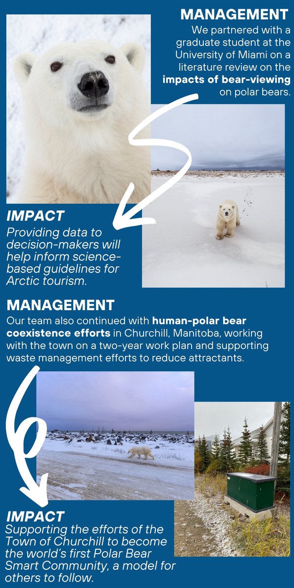 PolarBears's tweet photo. We had a busy spring! Check out a few of the accomplishments from our science, education, outreach, and management teams in Q2 of 2023, and see the full report here: https://t.co/UHNTVDScsG https://t.co/ChVcNzyVGR