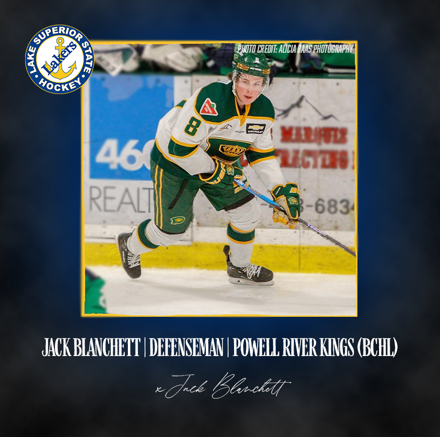 Lake State Hockey tweet media