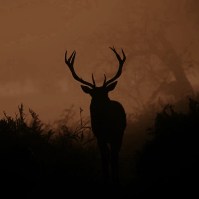 _profstag's tweet image. 