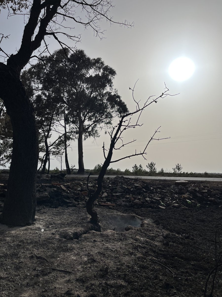 jenny hill tweet media