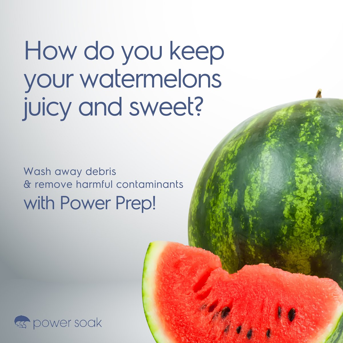 Summer is watermelon’s time to shine and Power Prep has the gentle (but powerful) washing action required to give the summertime fruit a longer shelf life!
