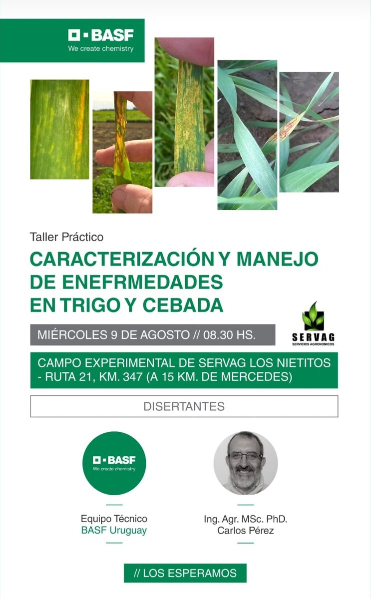 Hern@n Sanchez ( Colo ) tweet media