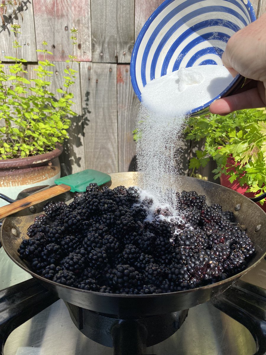 markjamesmunro's tweet photo. Wild blackberry pie #banginseaon #kitchen29veggarden #thekitchen29woodfiredpizzzagarden #kitchen29 https://t.co/i1Q4dkE5cS