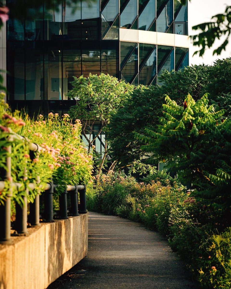 Stroll along The High Line, where urban charm meets nature's beauty and just a short cab ride from the hotel… tag a friend you would explore NYC with💗

Captured by @joethommas