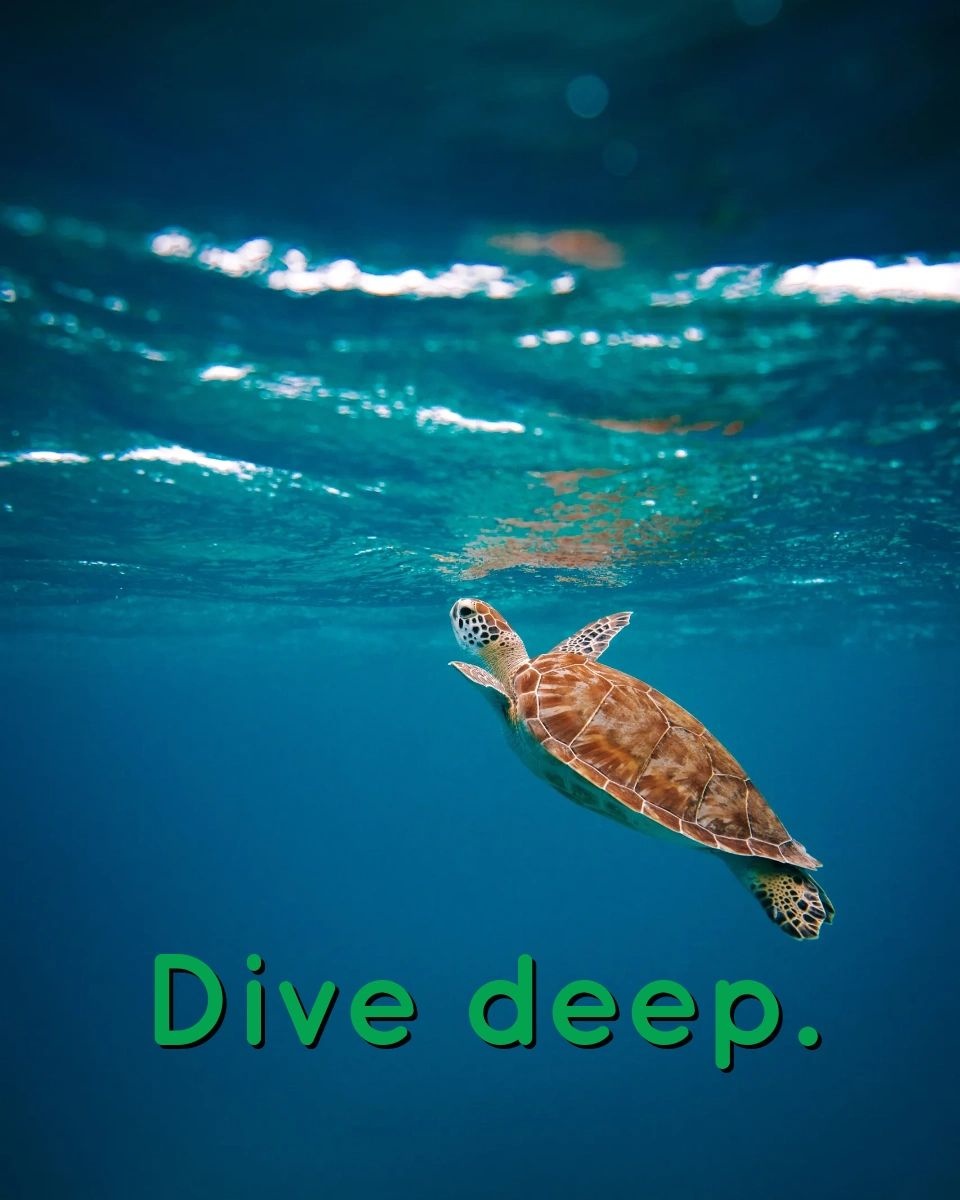 _SustainableMe's tweet photo. Ready to dive deeper into sustainable living? Visit our website for a wealth of resources. Let's make a difference together! 💚 #SustainableMe #SustainabilityResources #EcoFriendlyTips

https://t.co/ZvUyvfgfSX https://t.co/31DICUvySY