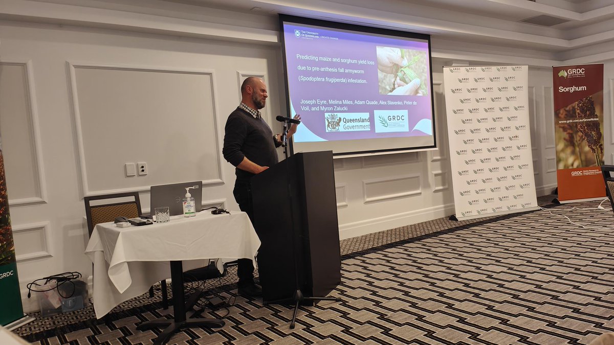 AusSORGM tweet media