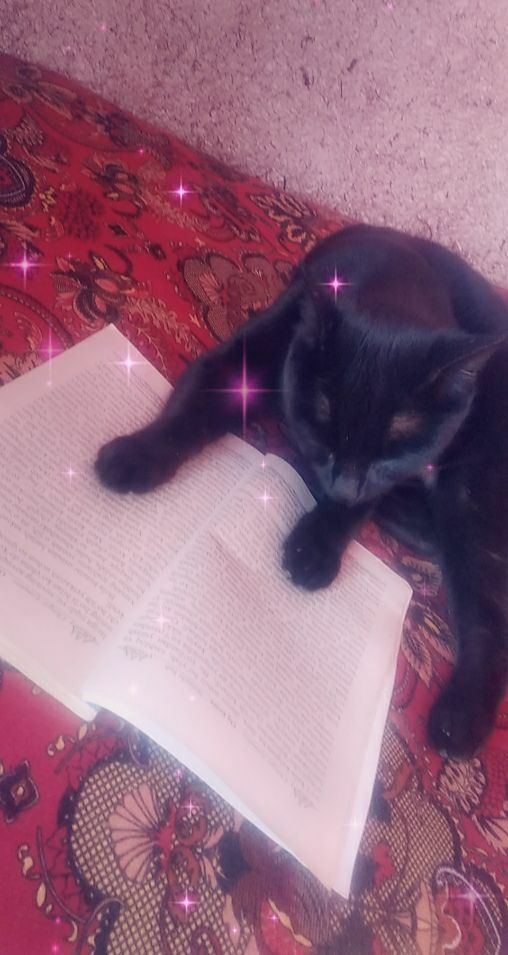 Porno aktrisa Lyudmilla Antonovaning tarjimai holi