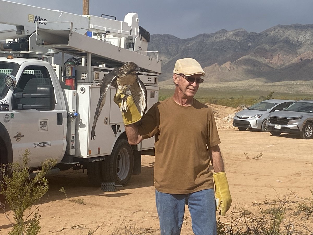 From power poles to open skies! 🦅✨ On August 8, 2023, our EPE linemen, along with Dennis Miller from Gila Wildlife Rescue, set three hawks free into their natural habitat. These magnificent birds were once hatchlings found on our power poles a few months back. #EPElectric is