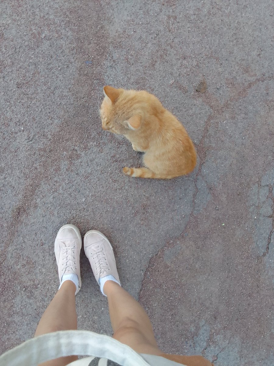 сидит деловой 👀