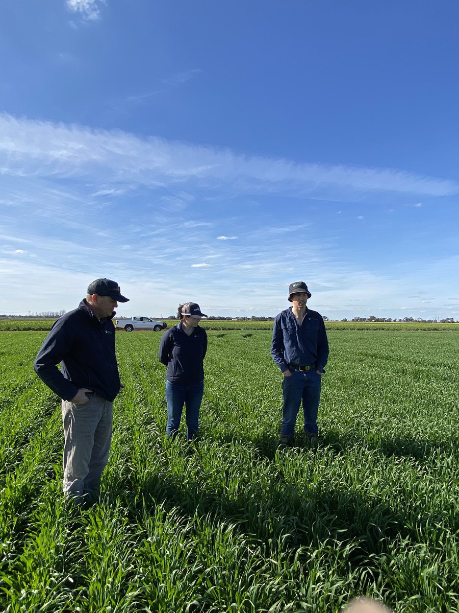 Great to see the work that’s happening <a href="/SG_NSW/">Southern Growers</a> Farm at Finley. #trialsite #research